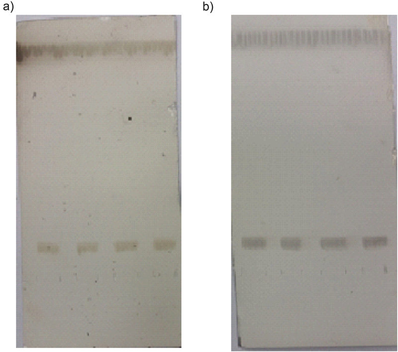 Comparative assessment of erythrocyte sphingolipid levels as potential cardiovascular health markers in women from Libya and Serbia: a small-scale study.