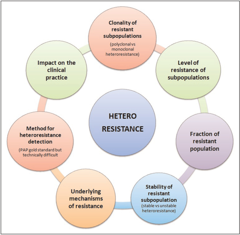 What is the clinical significance of 'heteroresistance' in nonfermenting Gram-negative strains?