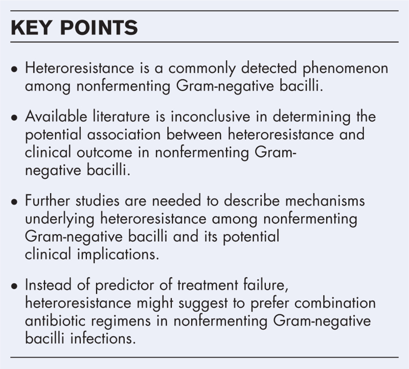 What is the clinical significance of 'heteroresistance' in nonfermenting Gram-negative strains?