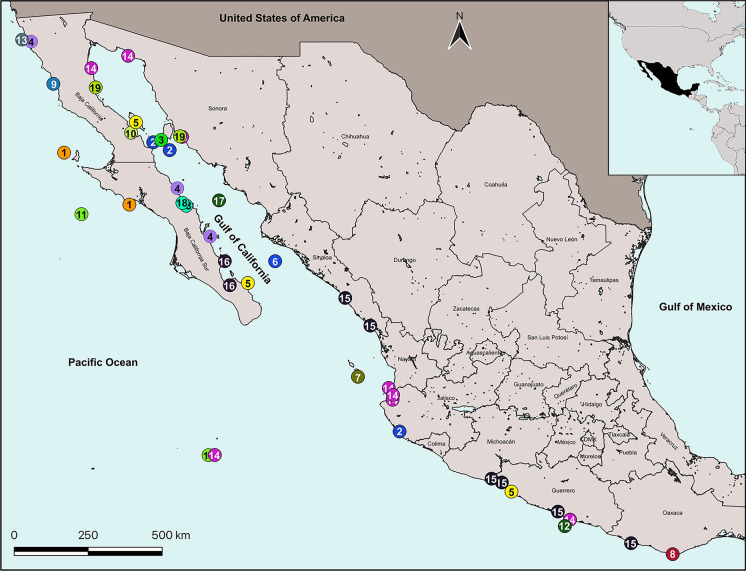 Cataphryxus zapoteca sp. nov. (Isopoda, Bopyridae) and new hosts and records of bopyrid isopods from the Mexican Eastern Pacific.