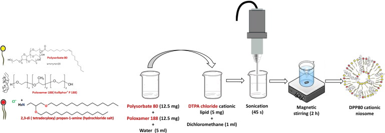 Stability of polymeric cationic niosomes and their plasmid DNA-based complexes as gene delivery carriers.