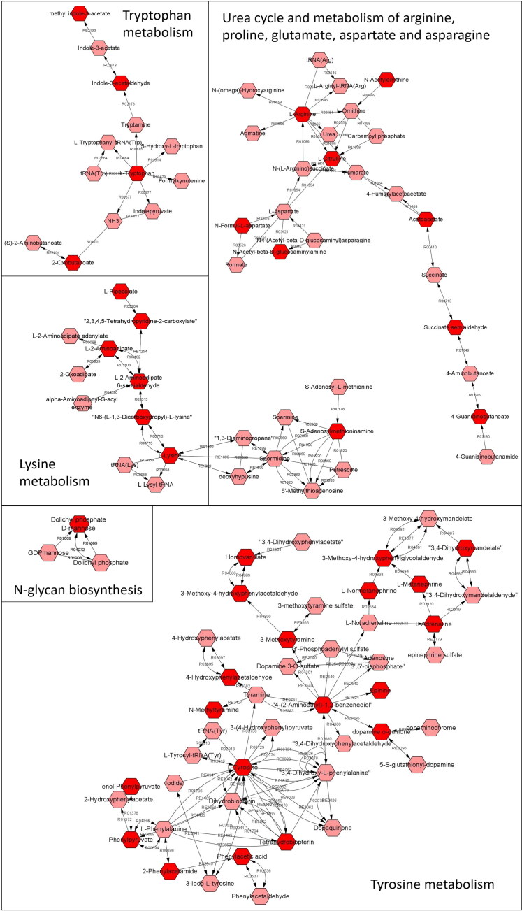 Faecal metabolome responses to an altered dietary protein:carbohydrate ratio in adult dogs.