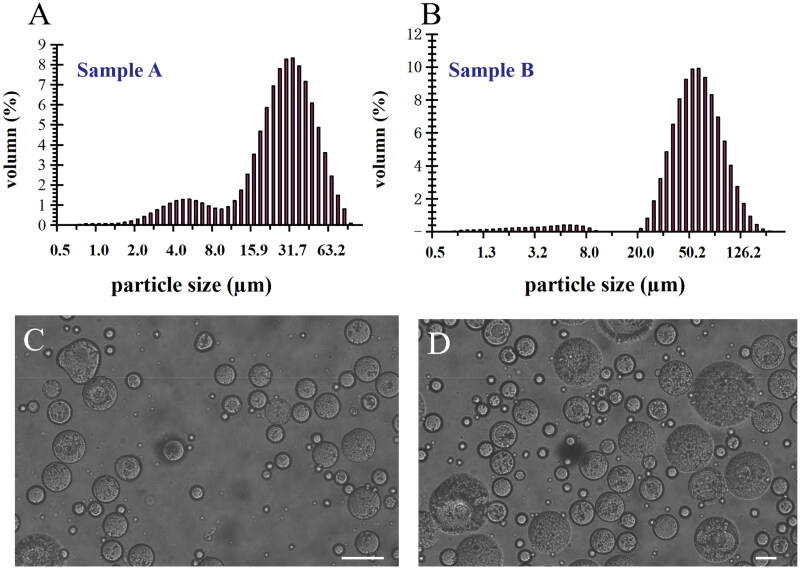 Impact of particle size of multivesicular liposomes on the embolic and therapeutic effects in rabbit VX2 liver tumor.