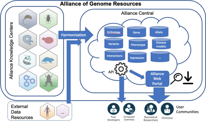 The alliance of genome resources: transforming comparative genomics.