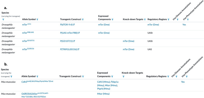 The alliance of genome resources: transforming comparative genomics.