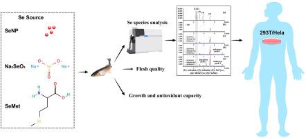 Selenium nanoparticles in aquaculture: Unique advantages in the production of Se-enriched grass carp (Ctenopharyngodon idella)