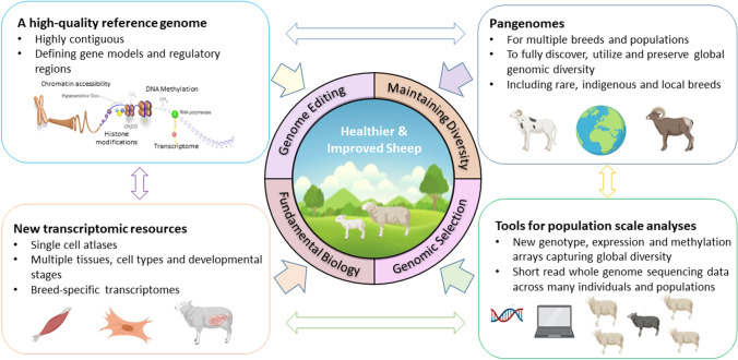 Recent advances in the genomic resources for sheep.