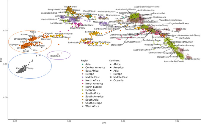 Recent advances in the genomic resources for sheep.