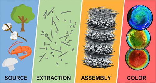 Structural Color from Cellulose Nanocrystals or Chitin Nanocrystals: Self-Assembly, Optics, and Applications