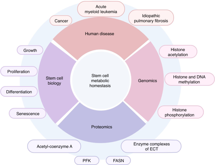 Molecular mechanisms of cellular metabolic homeostasis in stem cells.