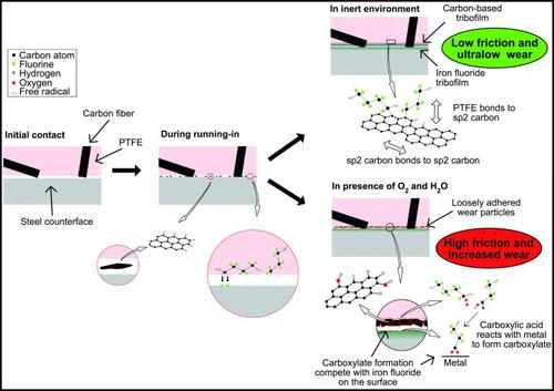 Mechanisms behind the environmental sensitivity of carbon fiber reinforced polytetrafluoroethylene (PTFE)