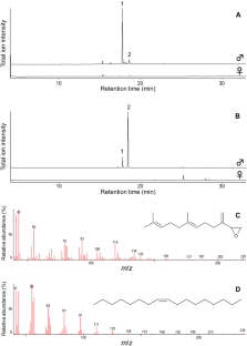 Characterization of volatile compounds in males of the skipper butterfly Daimio tethys (Lepidoptera: Hesperiidae)