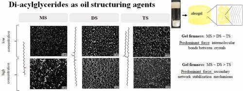 Di-acylglycerides as oil structuring agents