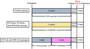 Methylobacterium sp. isolated from the midgut of Anopheles stephensi inhibits egg maturation in host ovary