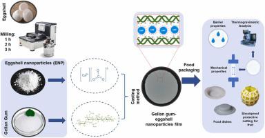 Study of gellan gum films reinforced with eggshell nanoparticles for the elaboration of eco-friendly packaging