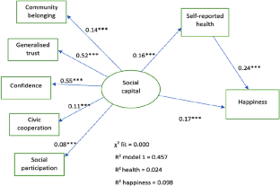 Role of Social Capital in Determining Happiness and Life Satisfaction: Mediation of Self-reported Health Using Path Analysis