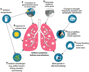 The Impact of Climate Change on Asthma and Allergic-Immunologic Disease.