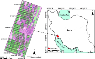 Comparative Analysis of Multispectral and Hyperspectral Imagery for Mapping Sugarcane Varieties