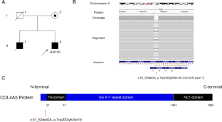 Electroretinographic abnormalities in Alport syndrome with a novel COL4A5 truncated variant (p.Try20GlyfsTer19).