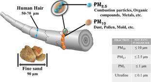 Chemical and biological components of atmospheric particulate matter and their impacts on human health and crops: a review