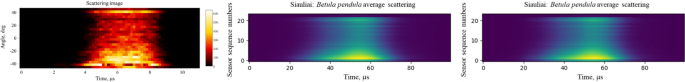 Comparison of computer vision models in application to pollen classification using light scattering