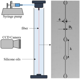 Investigation of the Dynamics of a Coating Flow on a Vertical Fiber Immersed in Surrounding Liquid Phase