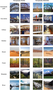 Differential effects of intrinsic properties of natural scenes and interference mechanisms on recognition processes in long-term visual memory.