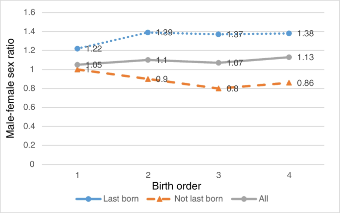 Son preference and education Inequalities in India: the role of gender-biased fertility strategies and preferential treatment of boys