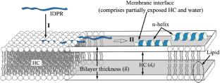 The Functionality of Membrane-Inserting Proteins and Peptides: Curvature Sensing, Generation, and Pore Formation.