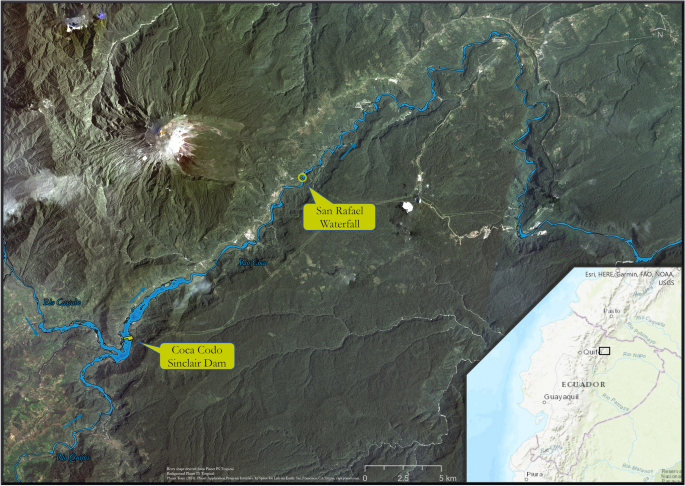 Regressive Erosion at River Coca in Northeast Ecuador: Landslide Monitoring with Sentinel-1 to Support Disaster Risk Management