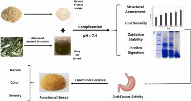 Structural, functional, and anti-cancer properties of conjugates of quinoa protein isolate and olive leaf polyphenolic extract: Application in production of bread