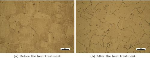 Effect of Shot Peening on Oxidation and Precipitation in Inconel 718