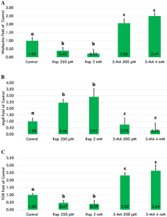 Autophagic chemicals effect for male-killing Wolbachia, Atg8 and TOR genes in Ostrinia scapulalis (Lepidoptera:Crambidae)