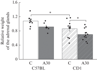 Repeated Experience of Aggression Changes in Gene Expression in the Hypothalamus in Male Mice of Two Strains