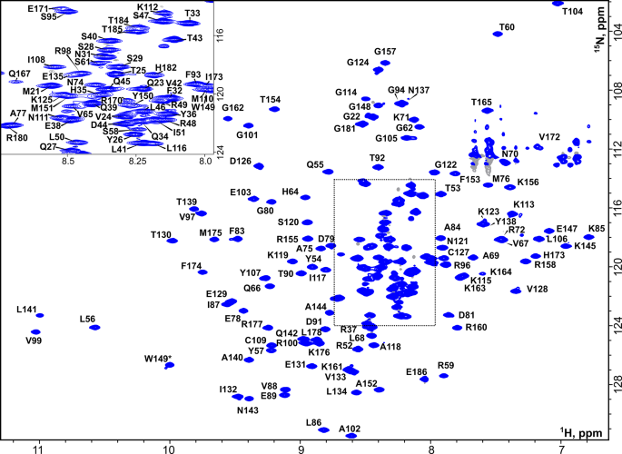 NMR resonance assignment of a fibroblast growth factor 8 splicing isoform b