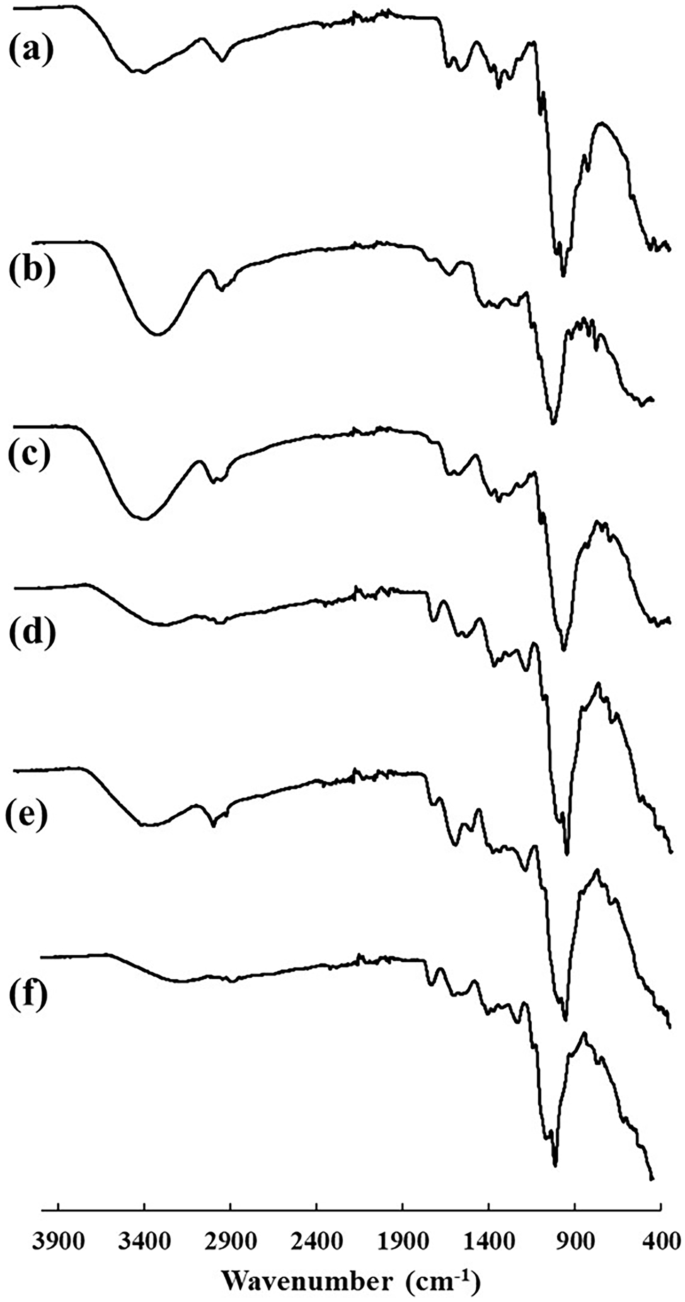 Novel Nanoaggregates from Phoenix dactylifera (date palm) for Inhalational Management of Cystic Fibrosis Using Dry Powder Inhalers