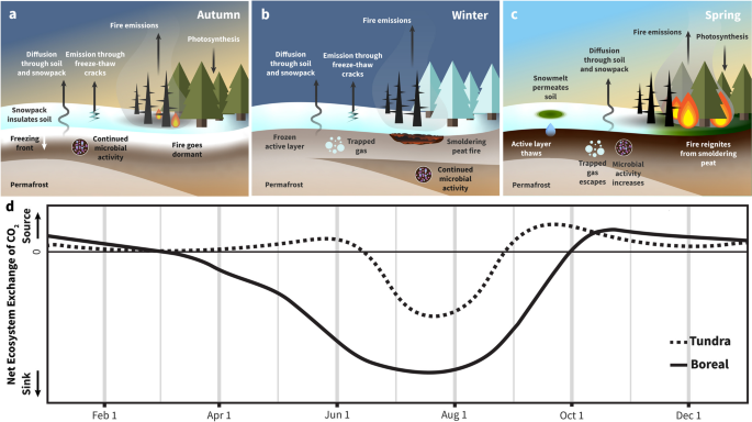 Recent Advances and Challenges in Monitoring and Modeling Non-Growing Season Carbon Dioxide Fluxes from the Arctic Boreal Zone