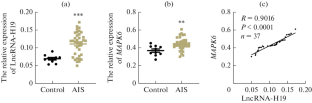 Xingnaojing Combined with Brain Glycoside Peptide Targets LncRNA-H19 and Regulates hsa-microRNA (miR)-138-5p/MAPK6 to Alleviate Acute Ischemic Stroke