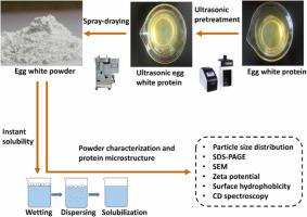 Ultrasonic-assisted spray drying as a tool for improving the instant properties of egg white powder