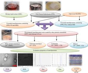 Encapsulation of marine bioactive compounds using liposome technique: Evaluation of physicochemical properties and oxidative stability during storage