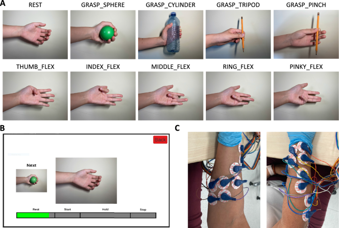 Effects of Electrode Position Targeting in Noninvasive Electromyography Technologies for Finger and Hand Movement Prediction