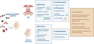 The Impact of Ambient and Wildfire Air Pollution on Rhinosinusitis and Olfactory Dysfunction.