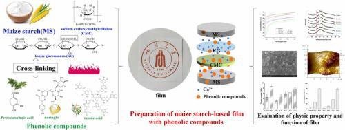 Potential application of phenolic compounds with different structural complexity in maize starch-based film