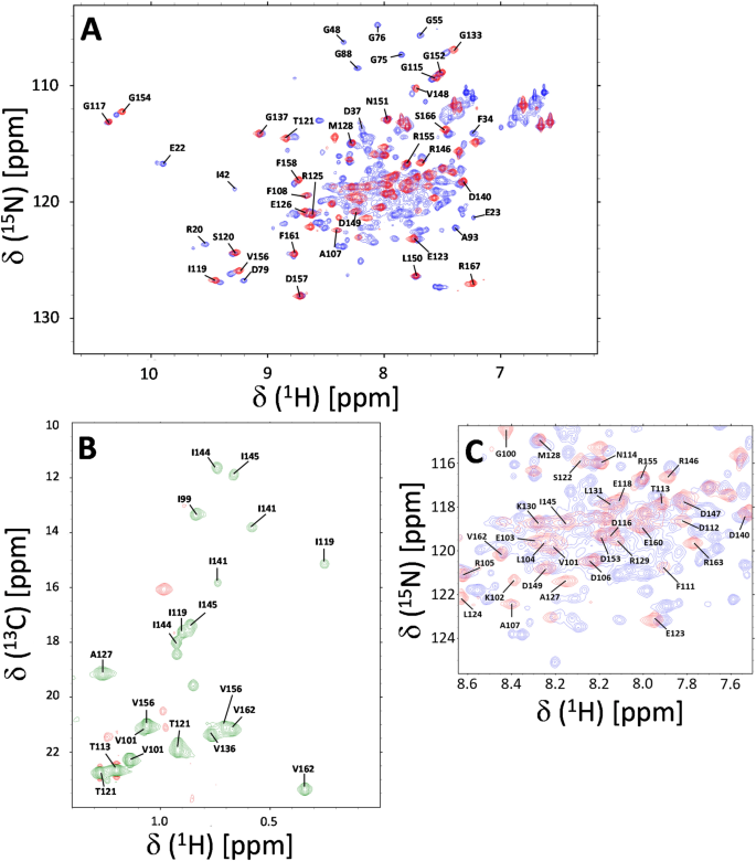 Chemical shift assignments of the C-terminal domain of CaBP1 bound to the IQ-motif of voltage-gated Ca2+ channel (CaV1.2)