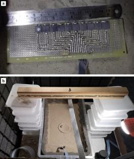 Antlion larvae localize long distant preys by a mechanism based on time difference.