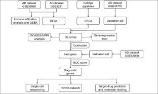 Alzheimer's Disease and Aging Association: Identification and Validation of Related Genes.