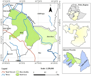 Vegetation composition and structure of Dabena woodland in western Ethiopia