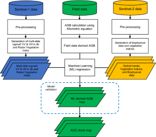 Uncovering the Hidden Carbon Treasures of the Philippines’ Towering Mountains: A Synergistic Exploration Using Satellite Imagery and Machine Learning