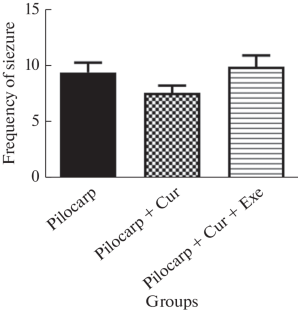 Administration of Curcumin plus Treadmill Exercise Modulate Some Neuronal Enzyme Activities, Redox Markers and BDNF mRNA Expression in Pilocarpine-Induced Epileptic Seizure in Rats