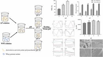 Effects of different ph on properties of heat-induced Auricularia auricula-judae polysaccharide-whey protein isolate composite gels